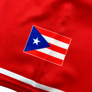 Puerto Rico Borinquen 'Flor de Maga' Red Baseball Jersey Closeup Flag