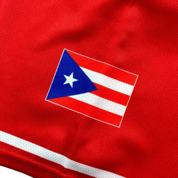 Puerto Rico Borinquen &