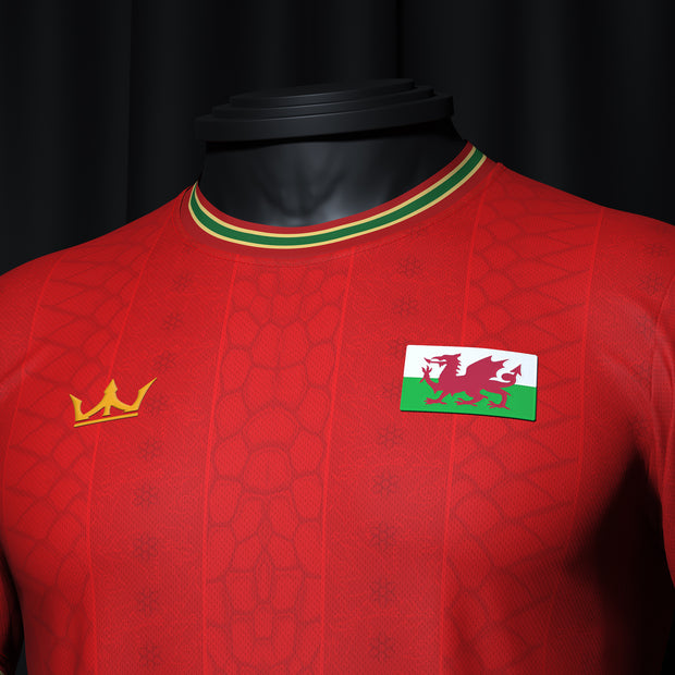 Wales Heritage Custom Football Jersey Closeups